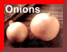 Onion Page
